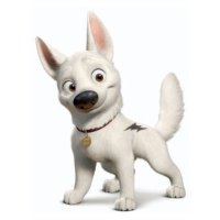 Kangg