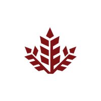 Neo Historia Indonesia
