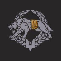 SPECIAL OPERATIONS FORCES OF UKRAINE