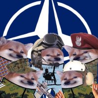 North Atlantic Fella Organization