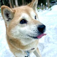 ムーコ