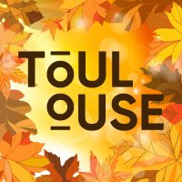 Toulouse - Mairie et Métropole