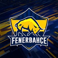 Fenerbahçe SK Espor