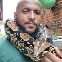Matheus Reis