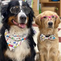 Bunsen, Beaker & Bernoulli