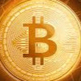 مستثمر العملة الرقمية بيتكوين