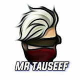Mr Tauseef