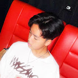 Kodot
