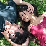Tanya Shivam
