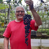Virgilio Vidor