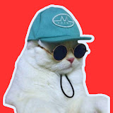 Naggi