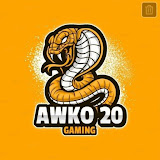 Awko20