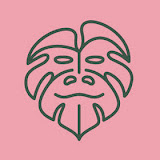 Jungle Boogie - sklep z roślinami online