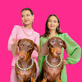 Chapitosiki