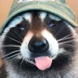 Towi