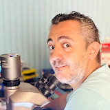 Mohammed Ateya