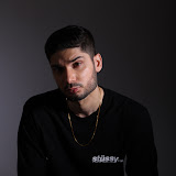 Krishna Kaul