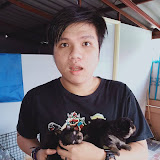 พรรควุฒิ ปิ่นเวหา