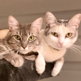 Misha and Ceniza