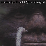 Discovering Bigfoot