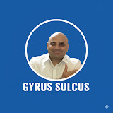 Gyrus Sulcus