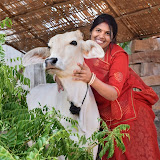 Vrinda