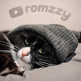 Romzzy