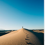 سالم الريحان