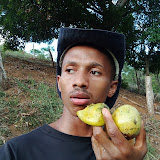 Diogo Cabeça